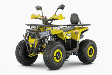 Квадроцикл WELS Thunder AX 125 Pro