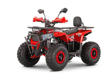 Квадроцикл WELS Thunder AX 125 Pro