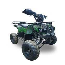 Квадроцикл Millennium 110C