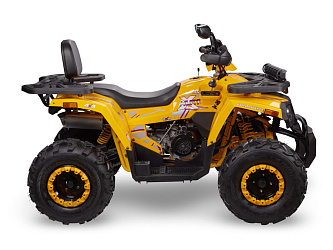 Квадроцикл Avantis Hunter 200 NEW BIG Lux (баланс. вал) 2025 (200 см3)