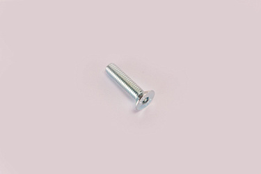 Болт M8x30x1.25 тип 2