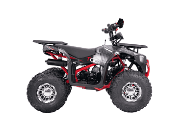 Квадроцикл Yacota SIRIUS 125 LD