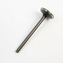 Клапан выпускной ZS1P62YML-2 (W190)
