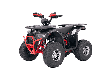 Квадроцикл Yacota SIRIUS 125 LD