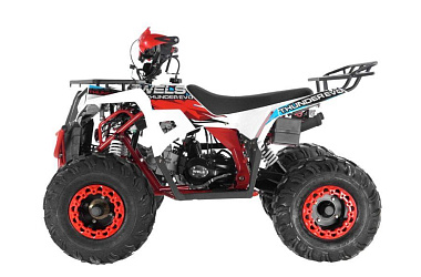 Квадроцикл WELS Thunder Evo 125 (2025)
