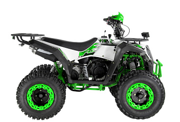 Квадроцикл WELS Thunder Evo X 200