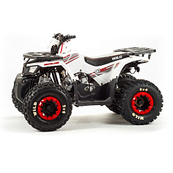 Квадроцикл Wild 125A