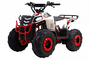Квадроцикл WELS Thunder Evo.M 110