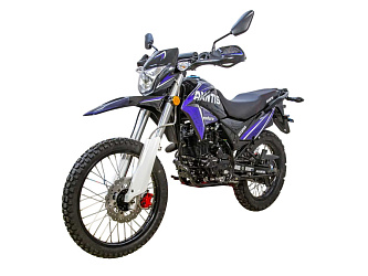 Мотоцикл Avantis MT250 (PR250/172FMM) ПТС (2024)