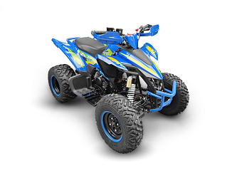 Квадроцикл Yacota TYPHOON 250
