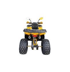 Квадроцикл R-moto Lion 125 AR