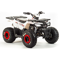 Квадроцикл Wild 125A