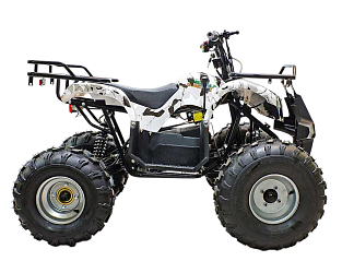 Квадроцикл GreenCamel Атакама T220 (48V 1000W R8 Дифференциал)