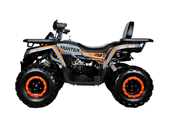 Квадроцикл Avantis Hunter 250 BIG NEW Basic (баланс. вал) 2025 (250 см3)