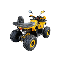 Квадроцикл R-moto Lion 125 AR