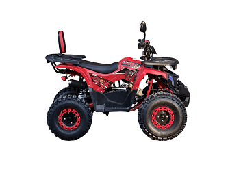 Квадроцикл R-moto Lion 125 A