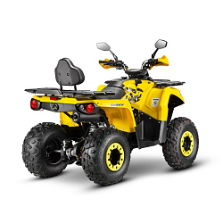 Квадроцикл Gladiator F200 Lux (2024)
