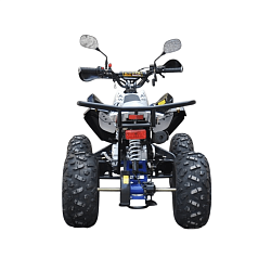 Квадроцикл R-moto Lion 130 S
