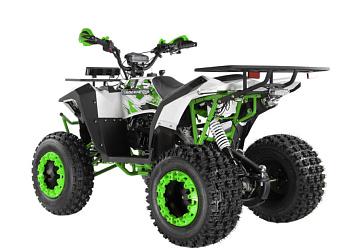 Квадроцикл WELS Thunder Evo X 200