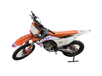 Мотоцикл Avantis NX250 Pro (NX250 Carb) 21/19