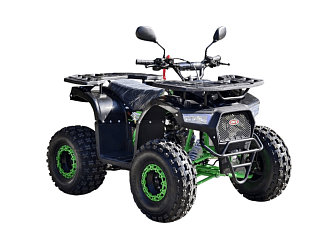 Квадроцикл R-moto Lion AR lite