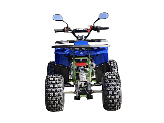 Квадроцикл R-moto Lion 125 A lite