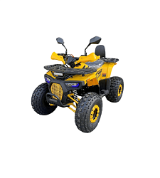 Квадроцикл R-moto Lion 125 R