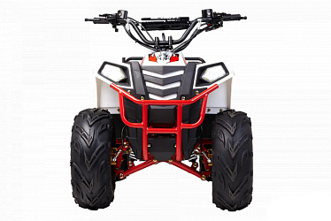 Квадроцикл WELS Thunder Evo.M 110