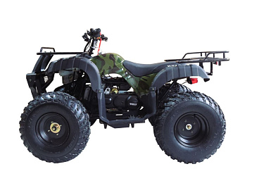 Квадроцикл WELS Thunder 200 HS