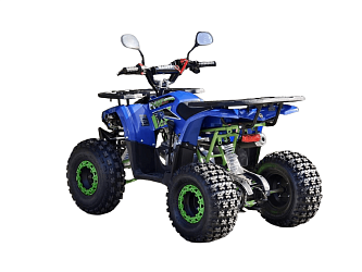 Квадроцикл R-moto Lion 125 A lite