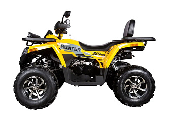 Квадроцикл Avantis Hunter 250 BIG NEW Premium (баланс. вал)