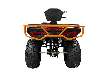Квадроцикл R-moto Lion 200 King